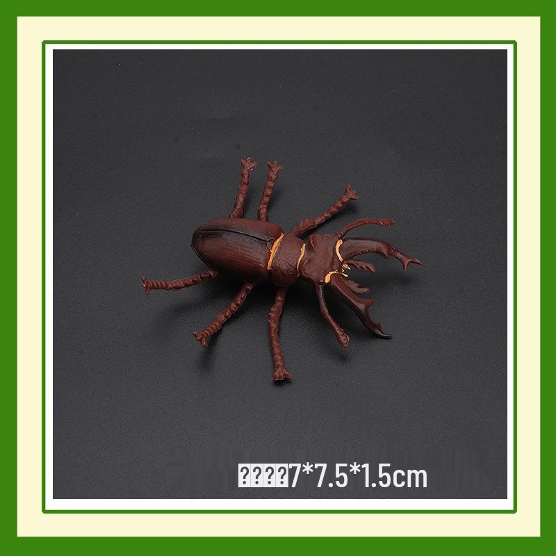 

Animal Growth Cycle Models: Insects, Butterflies, Frogs, Spiders, Bees, Chickens & Marine Animals for Early Education