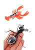 Solar-Powered Insect Toys: Creative Science Experiment Models for Children's Educational Learning