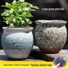 Large Ceramic Succulent and Orchid Pot for Home and Balcony