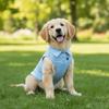 Casual Style Breathable Pet Dog Shirt Solid Color Two-legged Dog Short Shirt Thin Material Soft Pet Vest Spring Summer