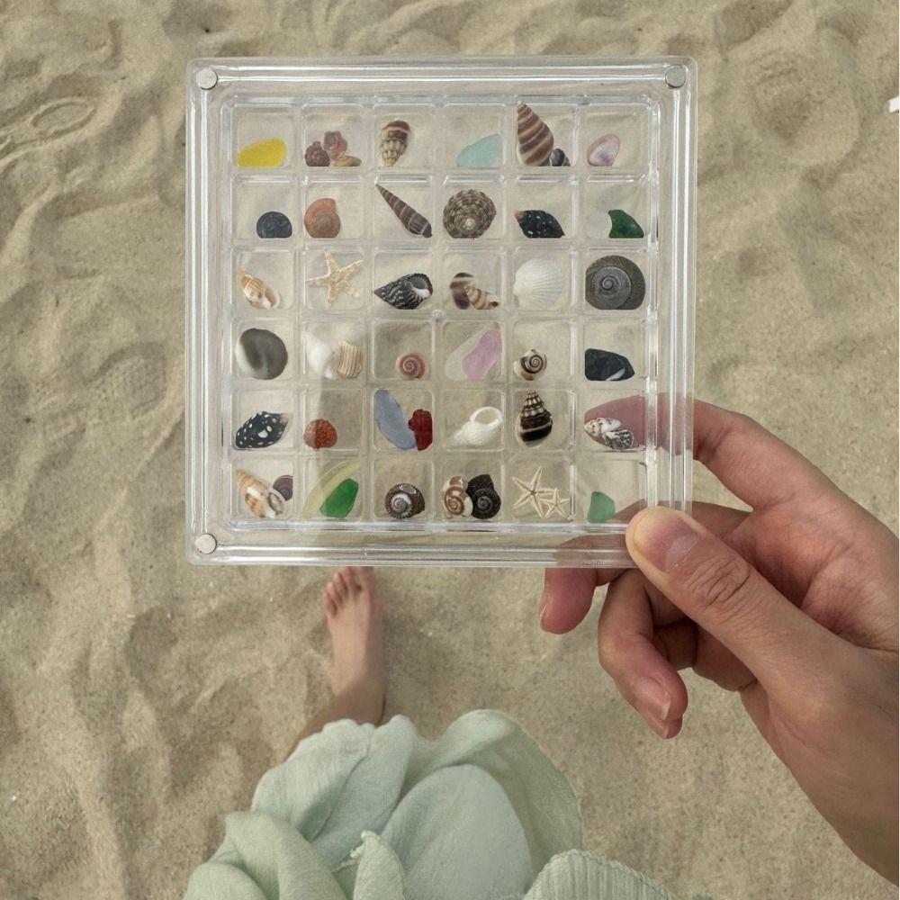 Acrylic Seashell Storage Box Multifunctional Beads Collection Box Jewelry