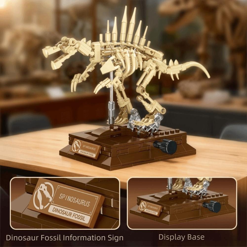 Bâtiment Squelette Tyrannosaure Rex Jouet Éducatif Ensemble de Blocs de Construction Affichage Fossile