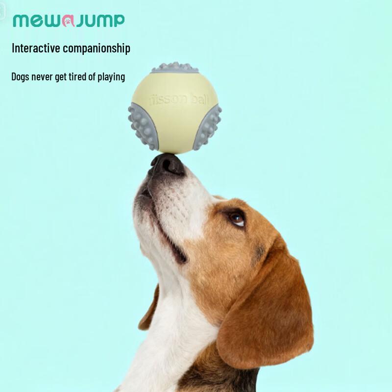 Mewajump Fessen Ball Interactive Dog Toy