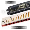 East Top Harmonica 7 Set Blues Harp 10 Holes 20 Tones Brass Cover Canvas Case Cleaning Cloth for Study and Practice Diatonic Harmonica Beginners,