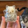Transparent Cat Fur Keepsake Display, Glass Fortune Cat Bottle With Base, Mini Pet Memorial Storage Jar