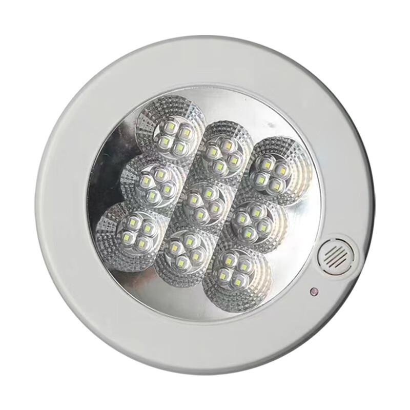Rongying LED Sensor Ceiling Light