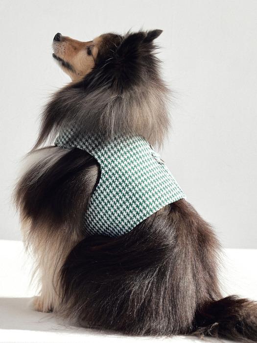 CROOKTHECHIHUAHUA Hound Pattern Harness - GREEN SKY BLUE