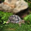 Realistic Artificial Tortoise Vinyl Turtle Model Lifelike Reptile Model  Fish Tank
