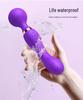Women's Dual-Head Vibrating G-Spot Massager - Silent, Ten-Frequency