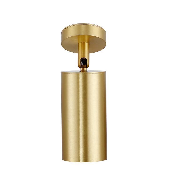 

oeny Gold 10W Surface-Mounted LED Ceiling Spotlight