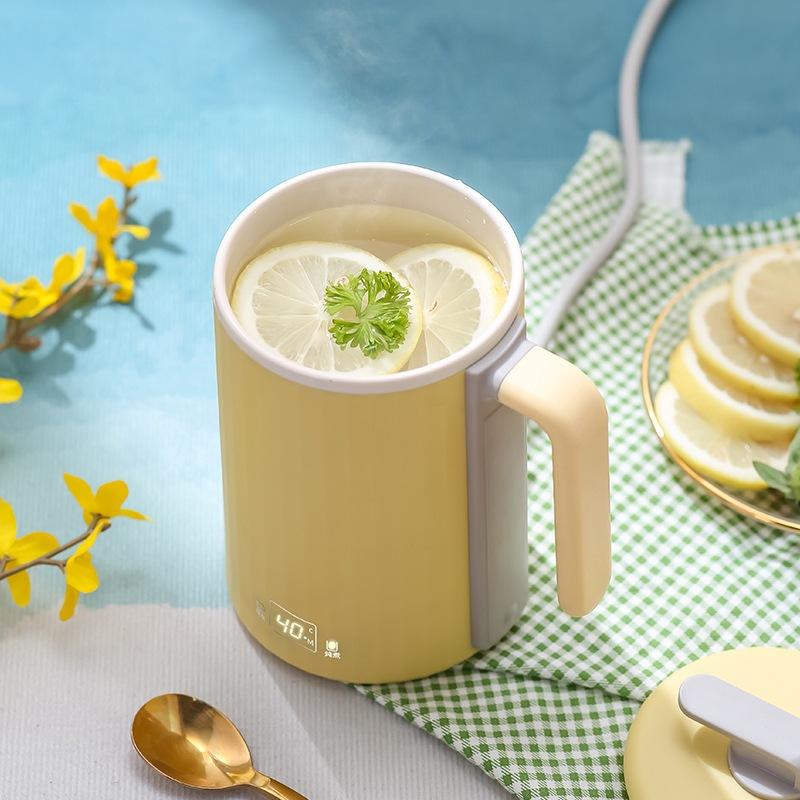 450 ml elektrisk vannkoker Multifunksjonell helsegryte Bærbar termokanne tekanne Elektrisk grytekopp Suppekopp Reise Kokekopp 220V