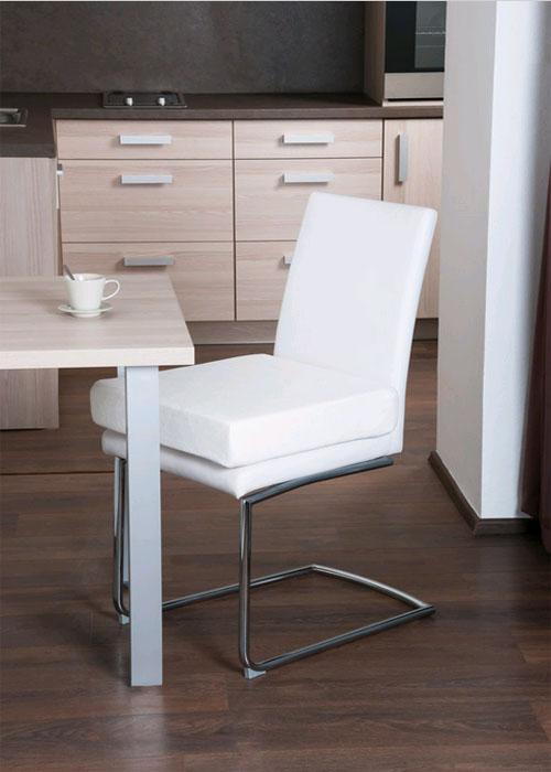 Ortheo Seat Cushion