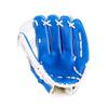 LISM Youth Baseball Glove