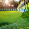 15/30cm Square Grass Mat 3mm 5mm 8mm Thick Artificial Lawn Carpet For DIY Project Model Scene Railway Layout Accessories