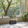 Balcony Trellis Planter with Climbing Plants