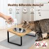 Elevated Cat Bowls with Food Mat 15° Tilted Stand Raised Cat Dishes for Food and Water Feeder 2 Stainless Steel Bowls for Cats