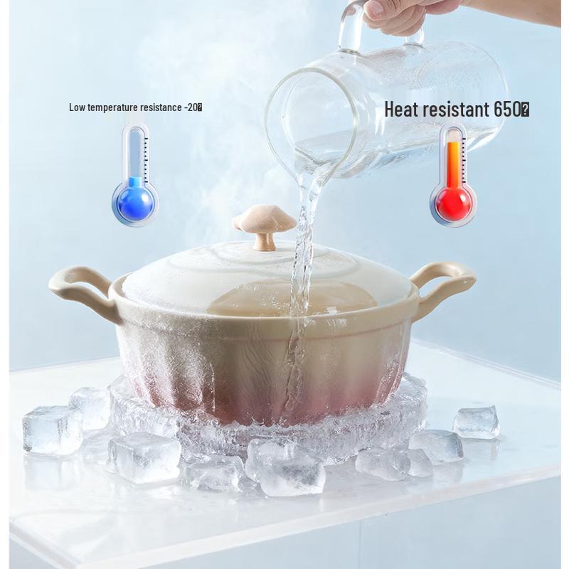 Multi-functional Ceramic Stew Pot with Steamer