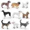 Pvc Toy Small Breed Dog Animal Model For Kids Play And Educational Use