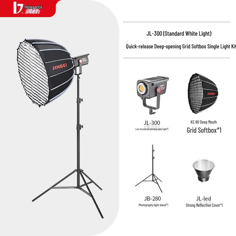 JINBEI JL300 Professional LED Fill Light Kit