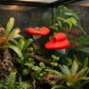 2PCS Suction Cup Reptiles Avoid Caves 3D Printed Jumping Spider Ledge  Vivarium