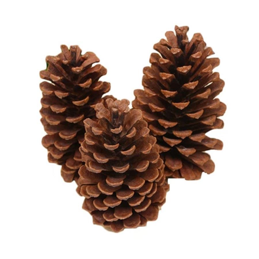 1-15CM Pine Cone Christmas Ornament: Creative DIY Handmade Decoration & Photography Prop