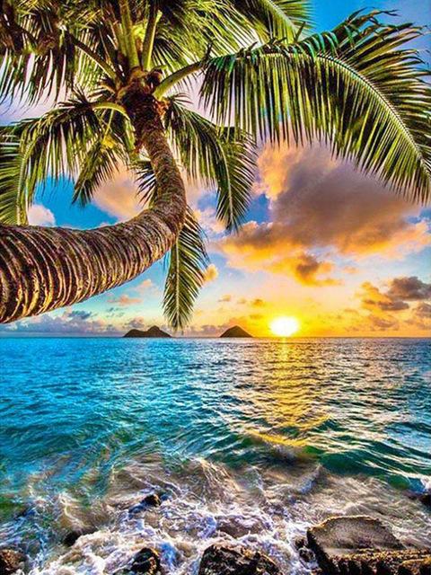 

5D DIY Алмазная картина Пейзаж Полный квадратный круглый дрель Вышивка Приморский Вышивка крестом Закат Кокосовая пальма Украшение Хобби Full Round 20x30CM