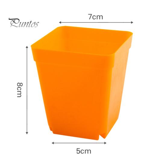Puntos 10Pcs Bonsai Planter Nursery Flower Pot Garden Square Home Plastic Decor Supply