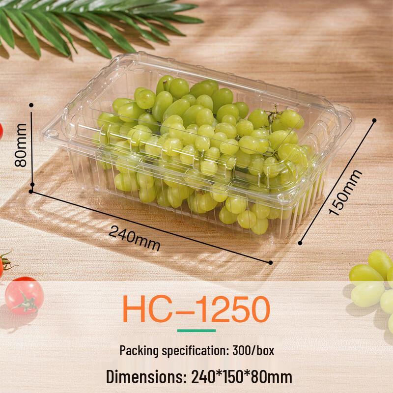 Clear Rectangular Disposable Food Containers with Lids