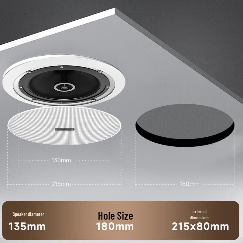 Newmine ND-15 Coaxial Ceiling Speaker System (CN version)