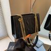 Women's Bag New Niche Design Fashion Popular Chain Shoulder Bag Commuter Messenger Bag