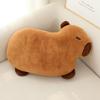 Capybara Plush Sofa Cushion Fluffy Sleeping Throw Pillow Cartoon Kawaii Anime Soft Waist Chair Cushion Car Home Bedroom Decor