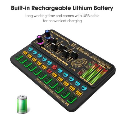SK500 Portable Live Sound Card Voice Changer Device Audio Mixer Kit with Microphone Mic Stand Earphone
