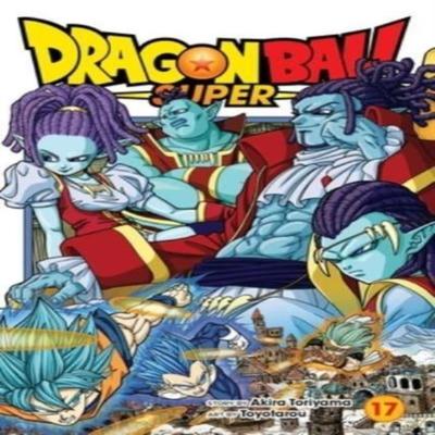 Dragon Ball Super Vol. 17 by Akira Toriyama Paperback Book 9781974734511