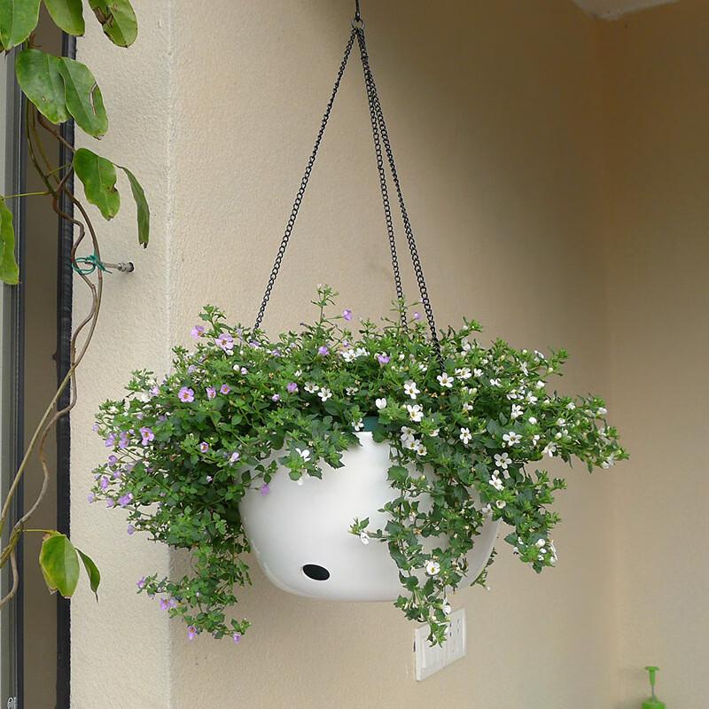 Yingtang Large Diameter Plastic Hanging Flower Pot