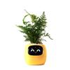 PLANTSIO Smart Pet Planter with Robotic Adorable Plant Gesture Neat Desk Setup Gift Guidance, Emoji, Companion, Interaction, (Yellow)