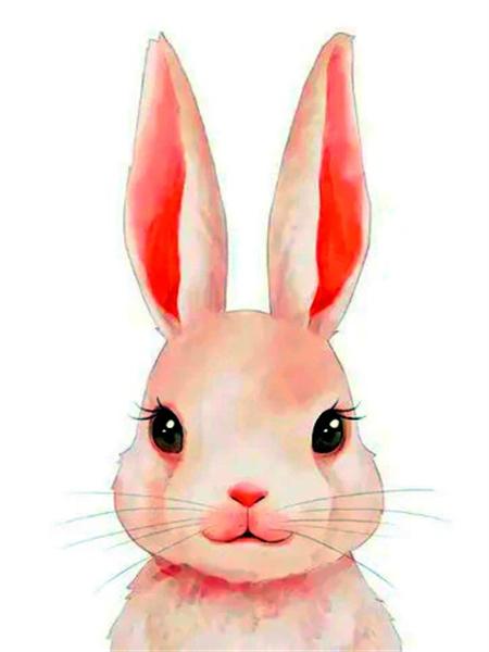 Full Square Round 5D Diamond Painting New Arrivals Elephant Rabbit Home Decor Mosaic Animals Cartoon Wall Art