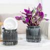 Flowerpot with Drainage Holes Water Filling Port Automatic Self-Watering Hydroponic Flowerpot Transparent Base Plant Container