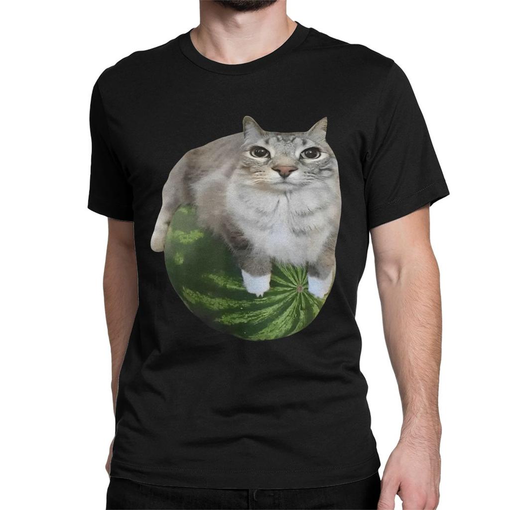 Watermelon Cat Silly T Shirt for Men Women 100 Cotton TShirt Round Collar Funny Meme Tee Shirt Short Sleeve Clothes Plus Size