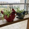 Resin Lively Bird Plant Pot Hummingbirds with Drainage Hole Succulent Pot Wear-resistant Novelty Style Flower Pot Tabletop Decor