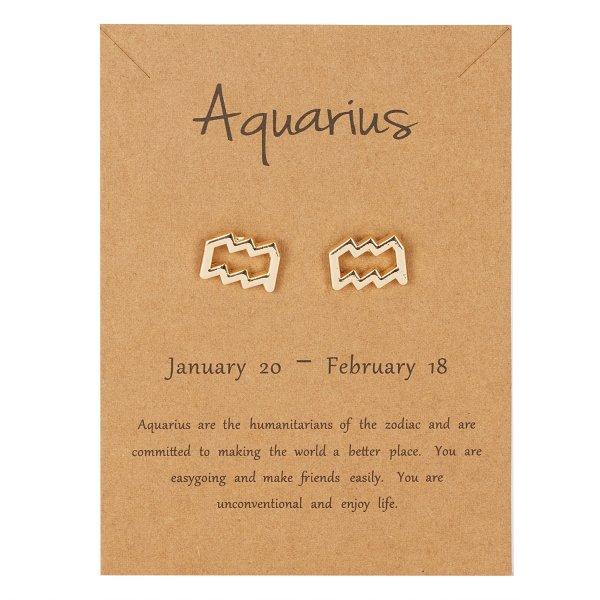 12 Constellation Symbol Stud Earrings Zodiac Sign Zircon Gift for Women Astrology Scorpio Leo Aries Earrings
