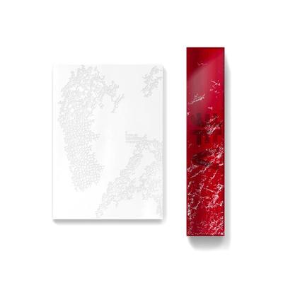 V (BTS) – V TYPE  Official Photobook & Poster Set