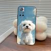 Cartoon Maltese Dog Phone Case for Xiaomi Poco M4 F7 M7 M6 M5 F6 F5 X7 X6 X5 C71 C75 C61 C65 Pro Plus Ultra Cover