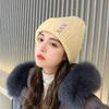 Hat for Women In Autumn and Winter Versatile Korean Thickened Warm Ear Protection Cute Knitted Wool Hat for Women Korean Style
