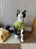 Pet Double-sided Fleece Thickened Vest Clothes for Winter Kitten Small Kitten Stuff Apparels Hairless Cat Clothing Dog Sweater