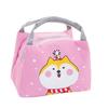 Adult Kids Lunch Bag Insulated Cool Bag Portable Picnic Bag School Lunch Box