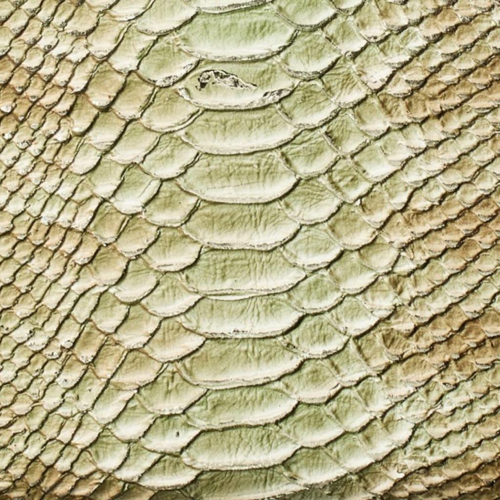 [VOICE] Align Women's Anaconda Diamantina Long Wallet, Made in Italy by Atema, featuring Cowhide Leather with Elegant Python Embossing, Perfect for