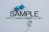 The Songs Japanese Version Special Edition Olaf Press Limited Frozen (with earphones) (First Edition)