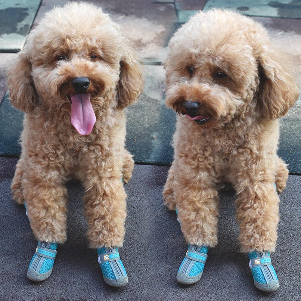 4 Pcs Breathable Dog Shoes Reflective Dog Boots Anti-slip Pet Shoes Puppy Booties For Small Dogs Cats Puppy Chihuahua Pug