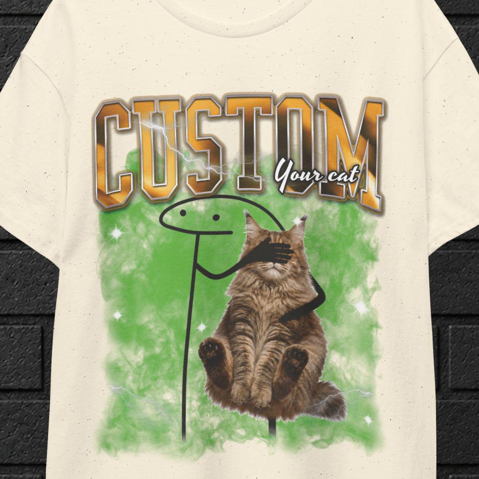 Custom Funny Cat Meme Don t Let My Cat See This Shirt, Silly Cat Shirt, Funny Meme Shirt, Cat Lover Gift, Meme Tiktok 2XL