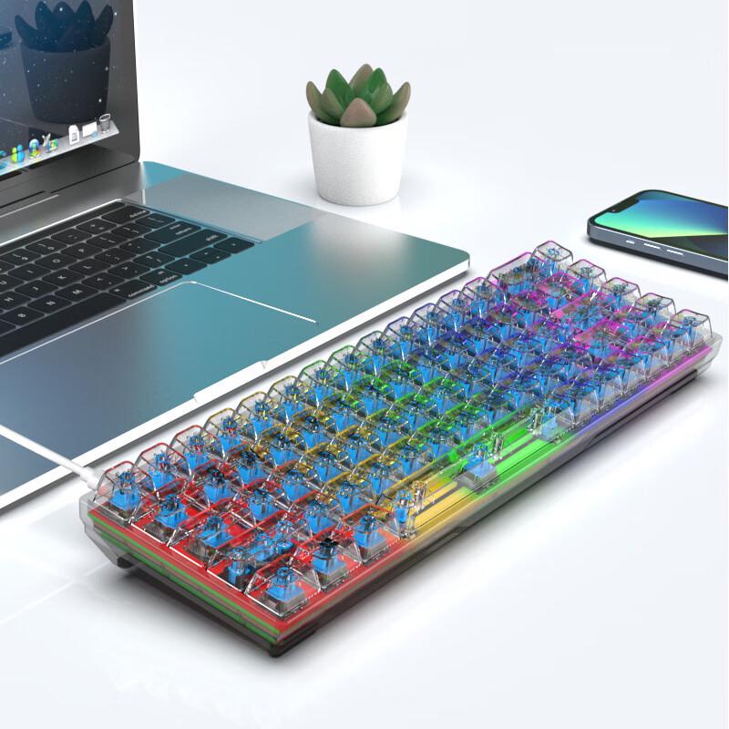 Y-FRUITFUL K60 Compact Wired Gaming Keyboard